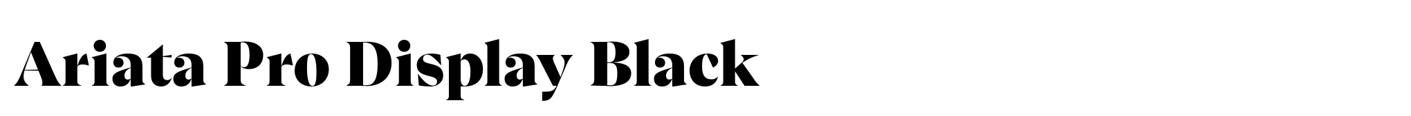 Ariata Pro Display Black image